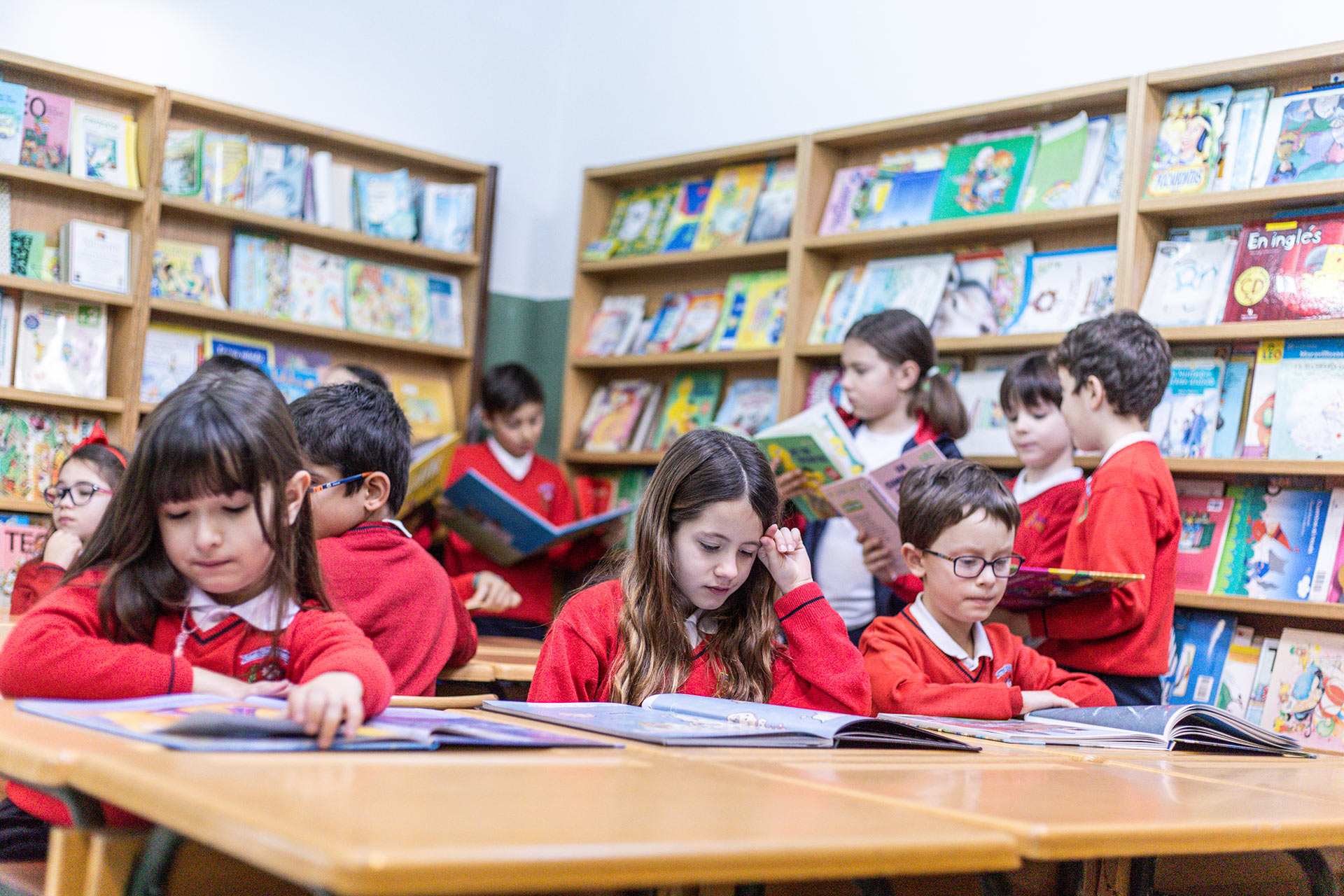 Biblioteca de Primaria Niños de Primaria leyendo libros en la biblioteca del Colegio Divino Salvador.