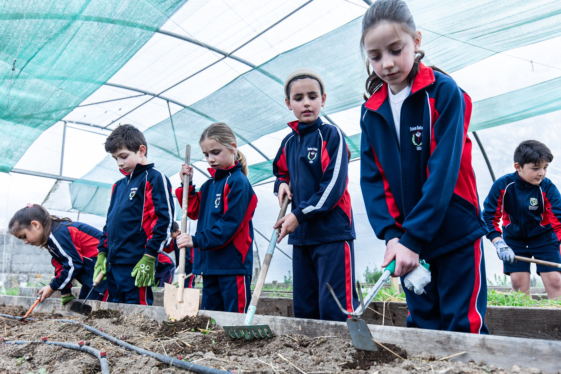 Huerta escolar de Colegio Divino Salvador Alumnos de Primaria trabajando en la huerta escolar del Colegio Divino Salvador.